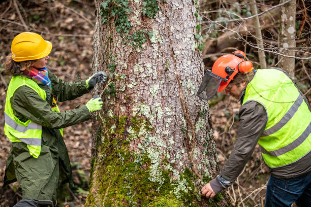 Best Seasonal Cleanup (Spring/Fall)  in Winnfield, LA